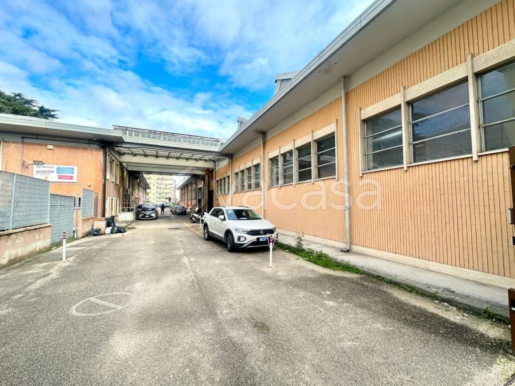 immagine annuncio 2 di 14