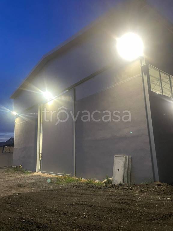 immagine annuncio 4 di 6