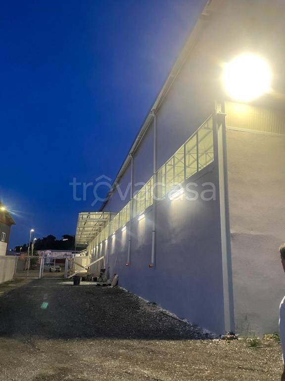 immagine annuncio 5 di 6