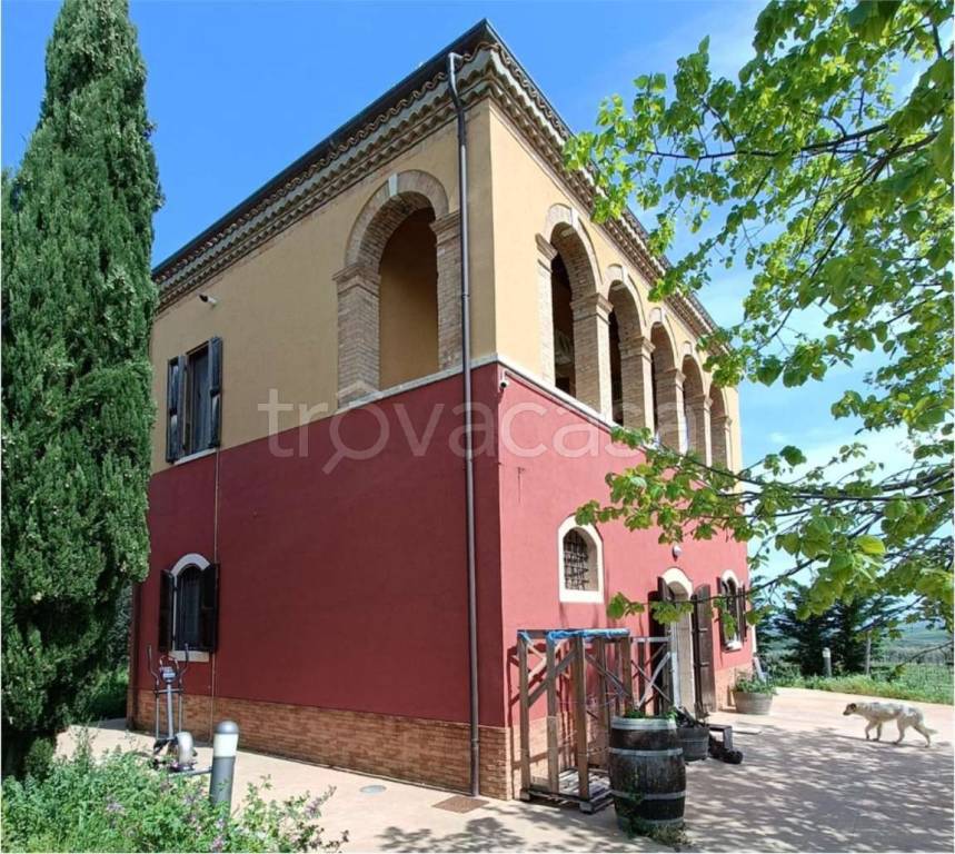 immagine annuncio 1 di 11
