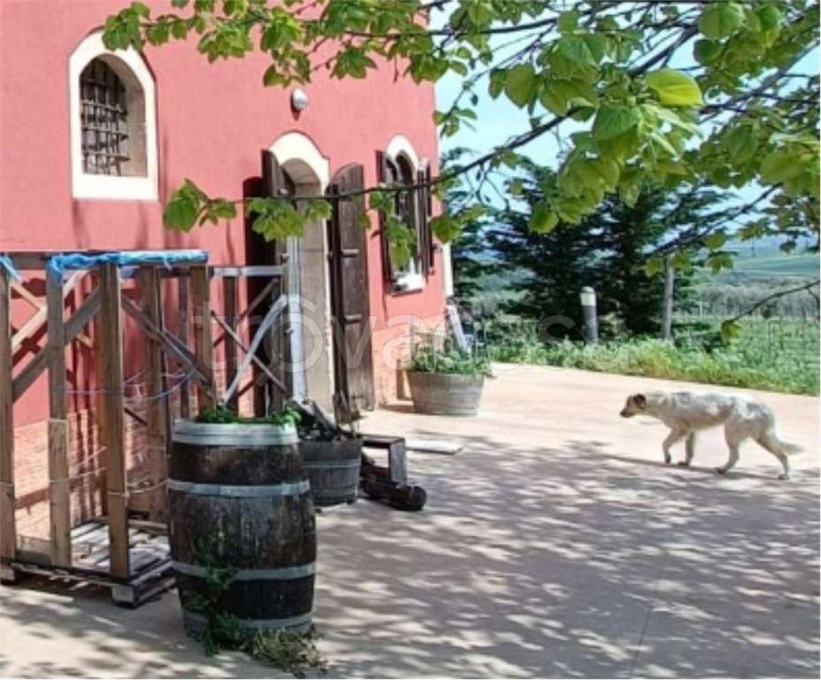 immagine annuncio 10 di 11