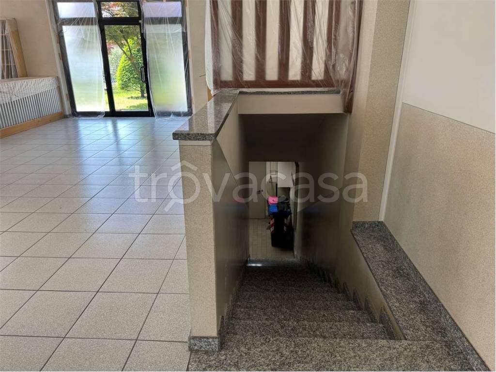immagine annuncio 11 di 14