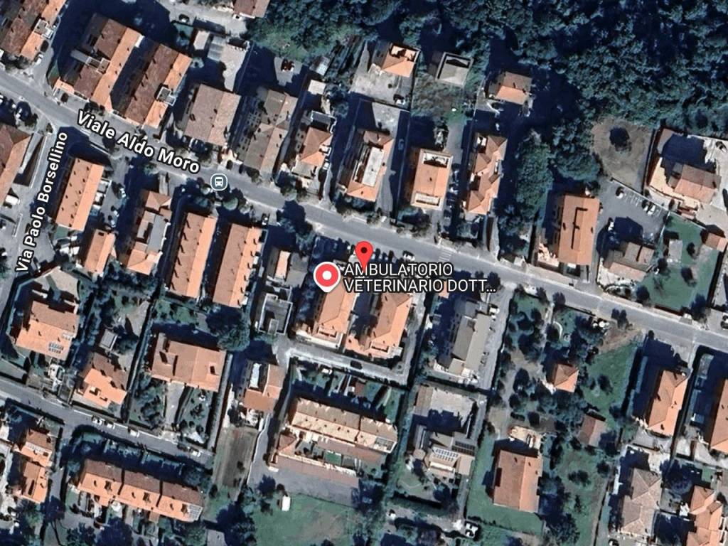 immagine annuncio 2 di 4