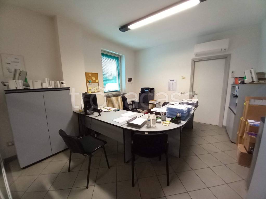 immagine annuncio 6 di 14