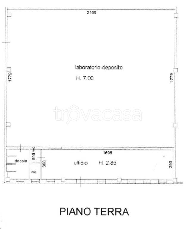 immagine annuncio 12 di 14