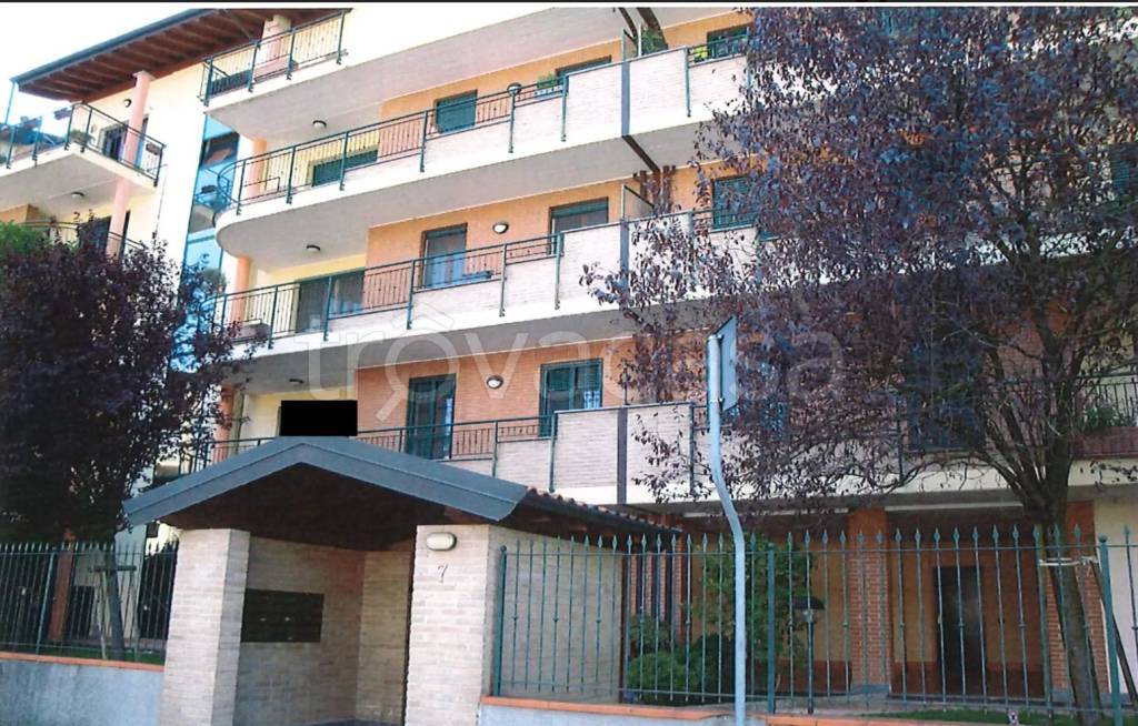 immagine annuncio 6 di 11
