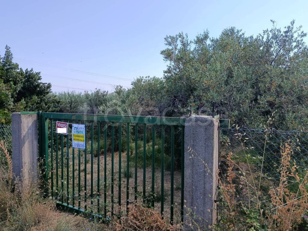 immagine annuncio 8 di 9