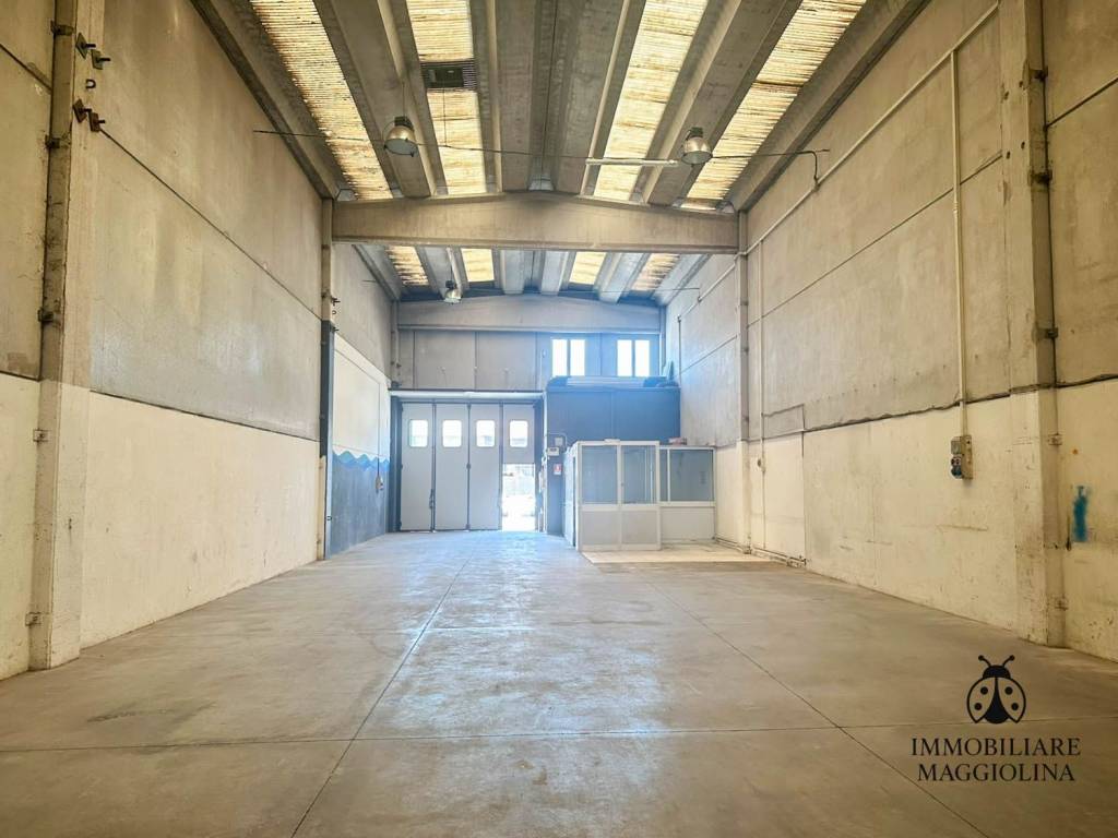immagine annuncio 5 di 15