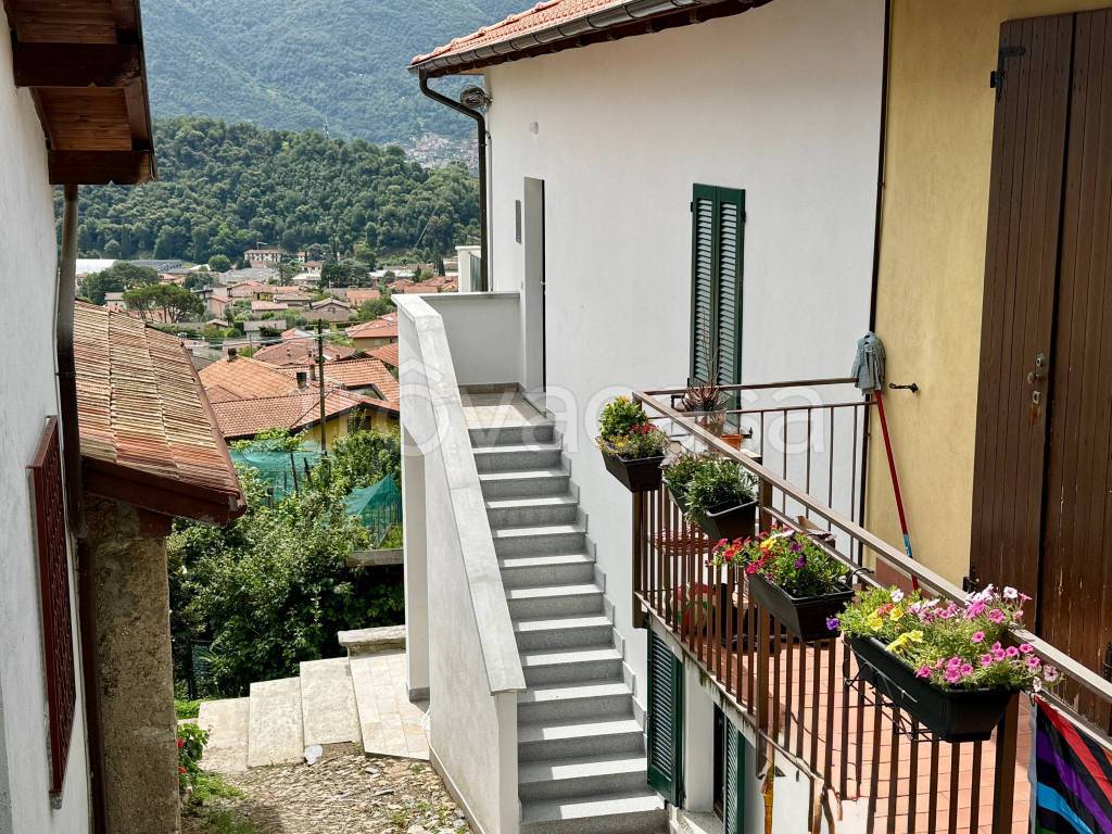 immagine annuncio 3 di 13