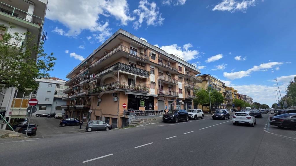immagine annuncio 1 di 12