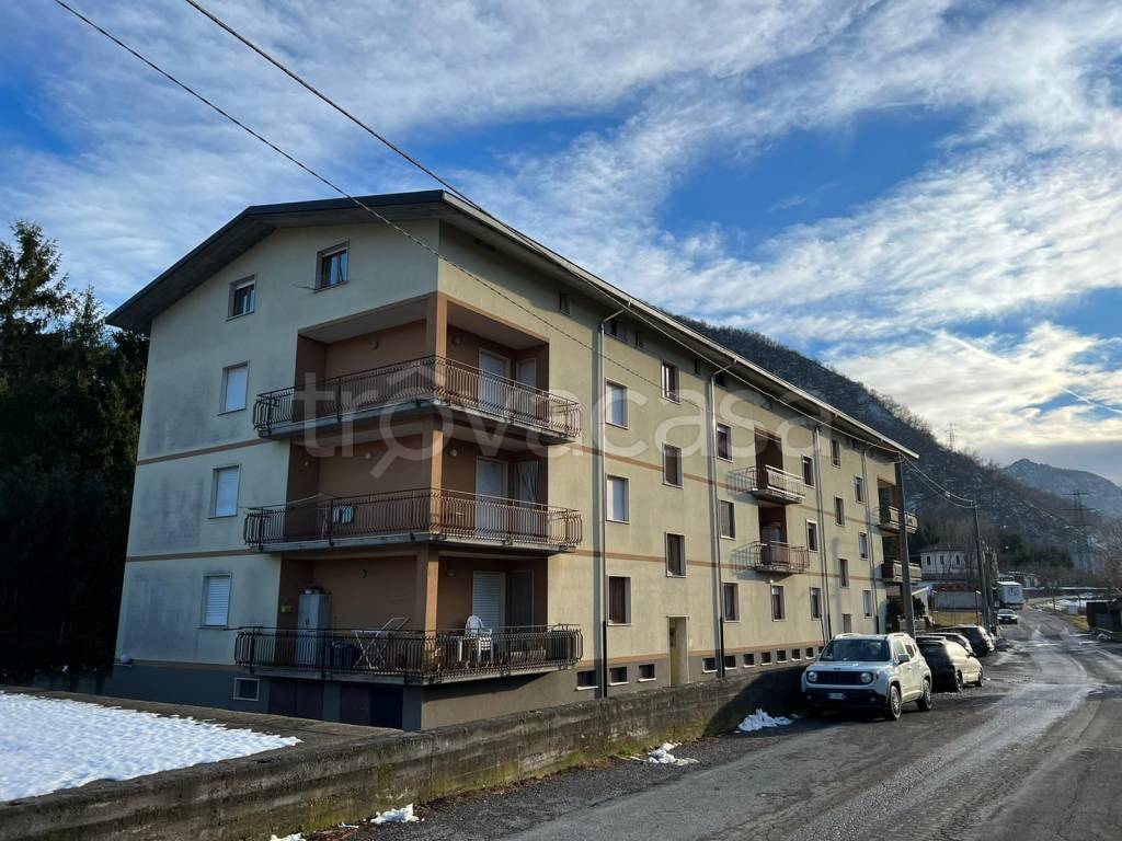 immagine annuncio 3 di 8