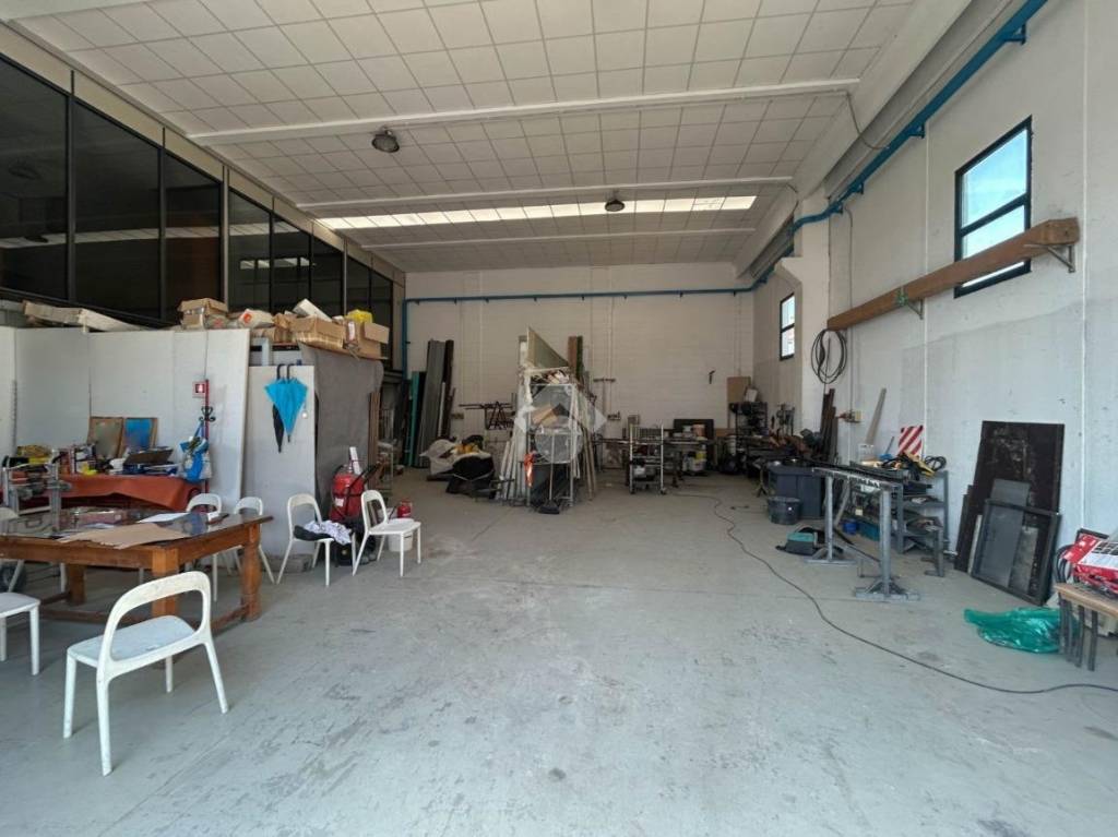 immagine annuncio 3 di 14