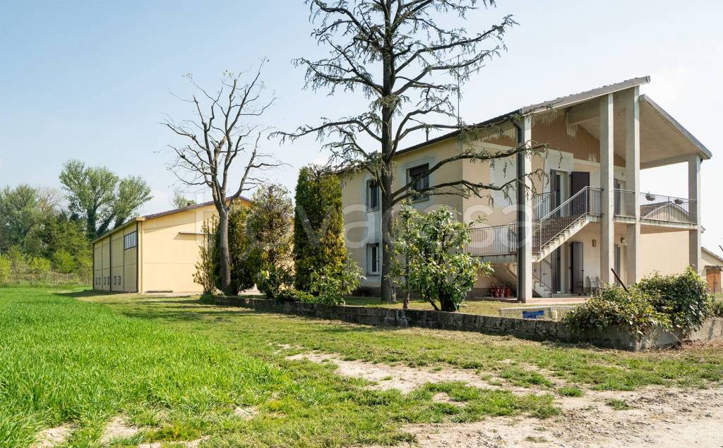 immagine annuncio 5 di 15