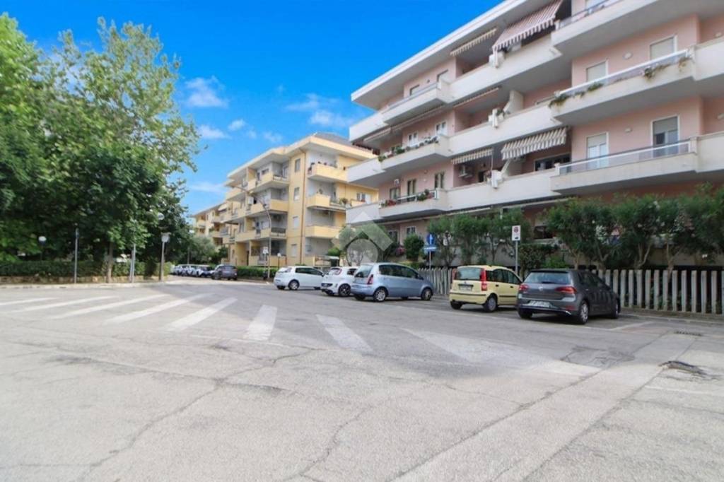immagine annuncio 11 di 13