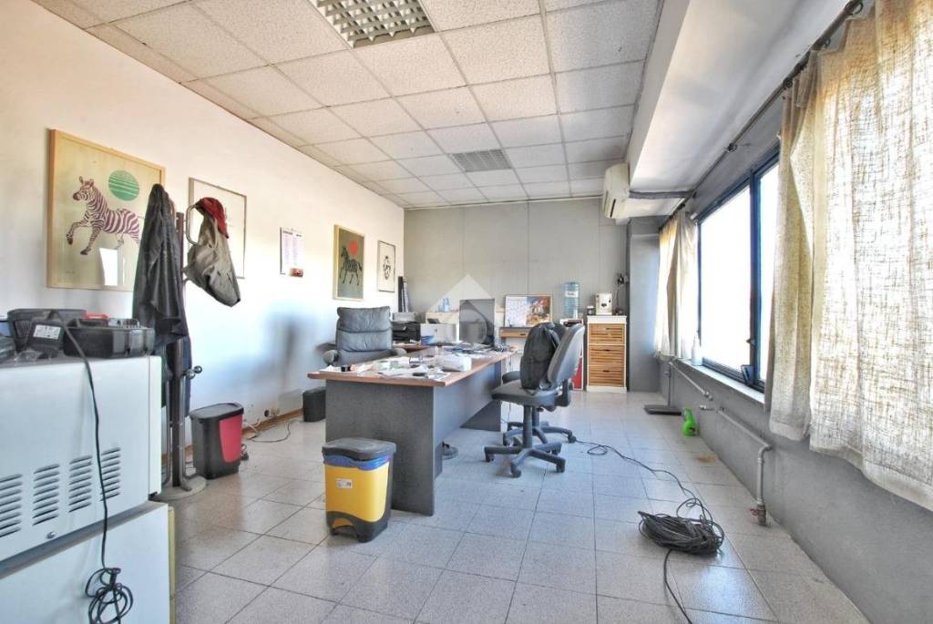 immagine annuncio 9 di 11
