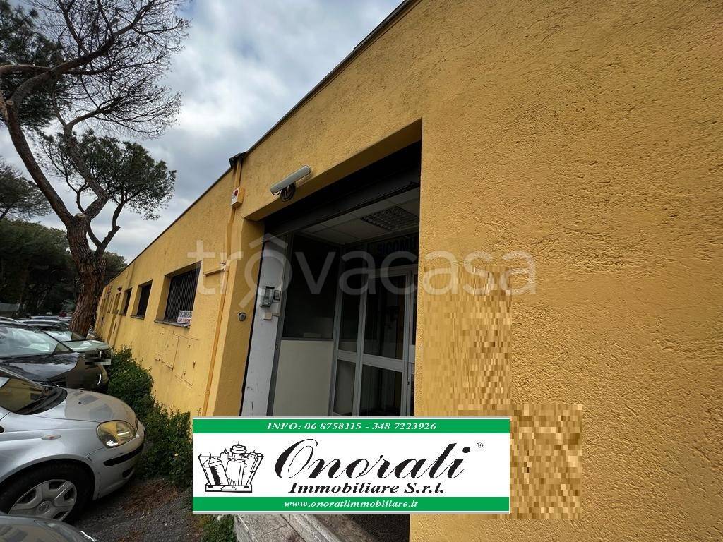 immagine annuncio 12 di 14