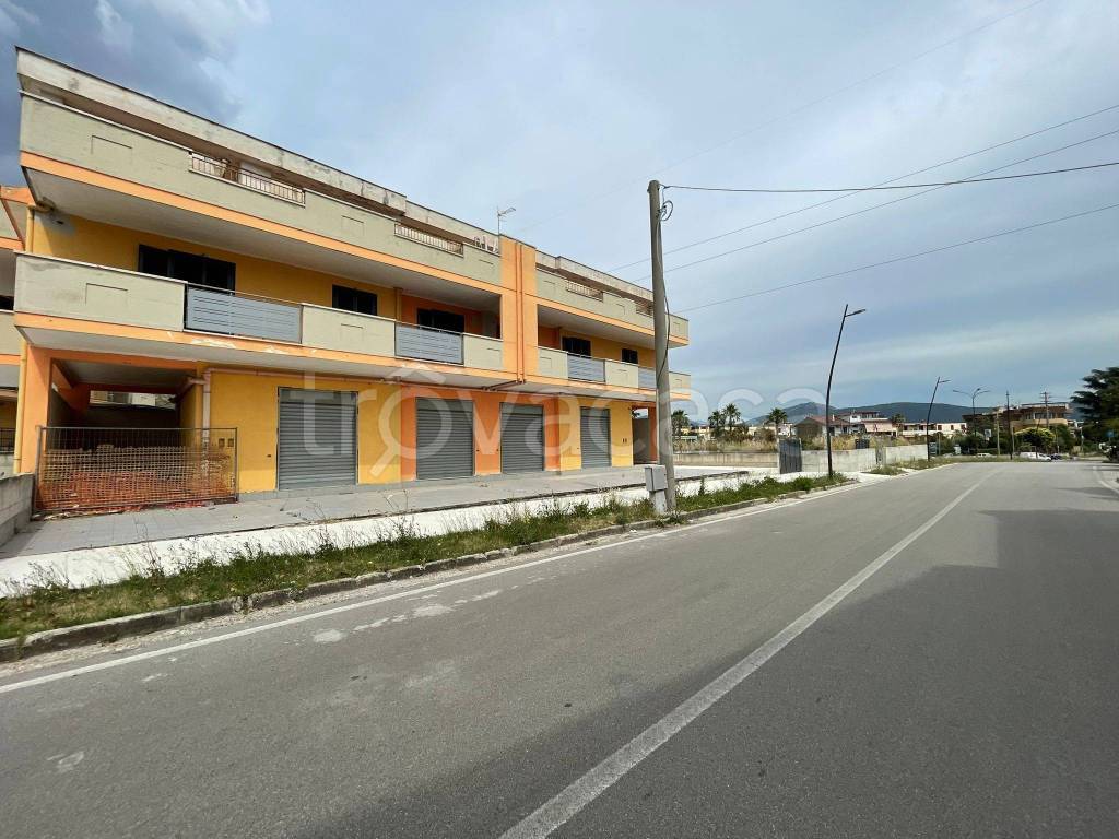 immagine annuncio 2 di 13