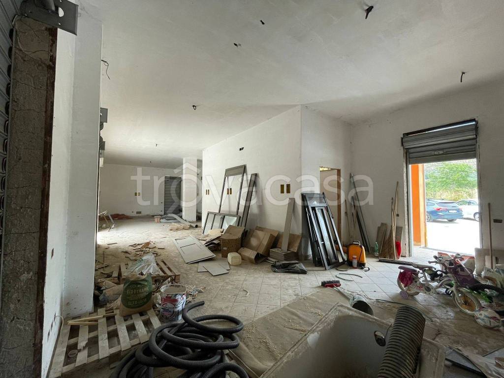 immagine annuncio 9 di 13