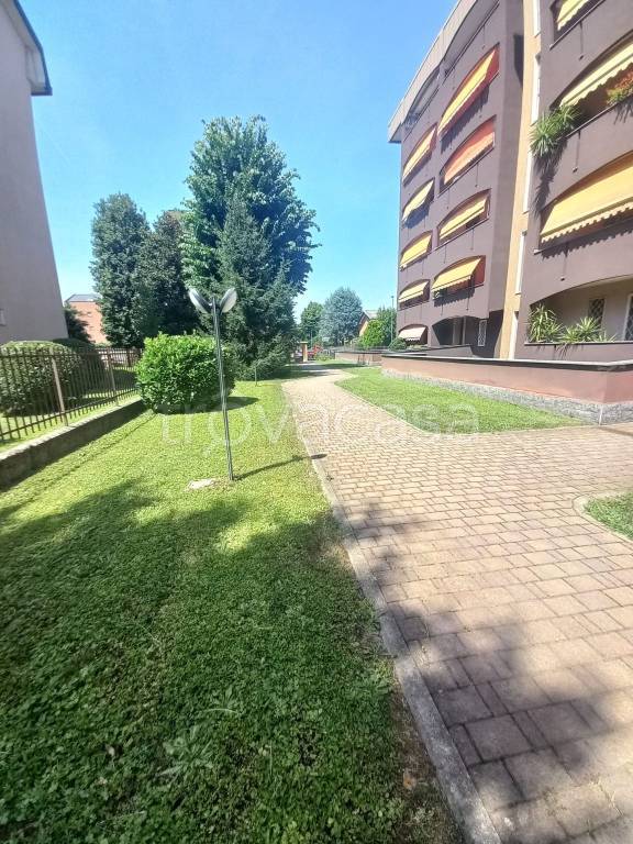 immagine annuncio 14 di 15