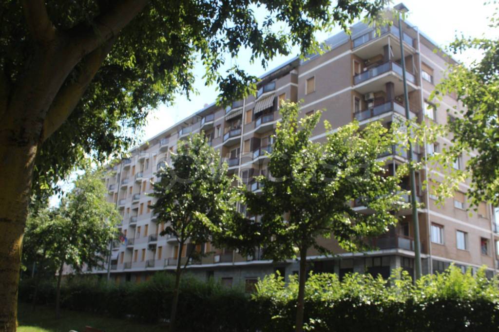 immagine annuncio 2 di 14