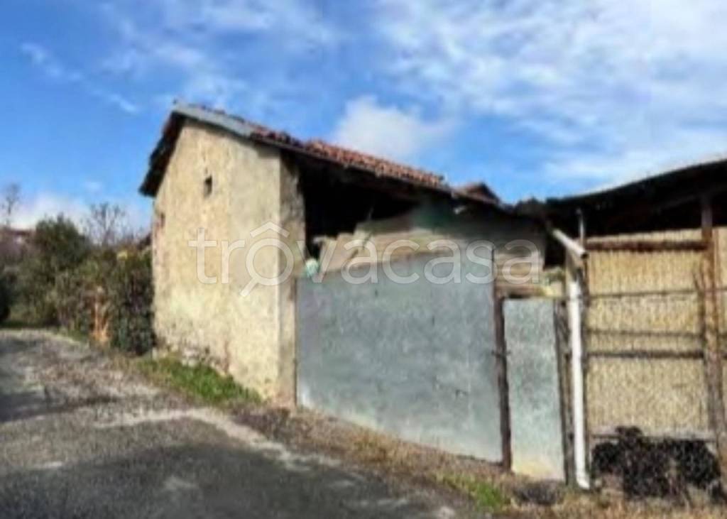 immagine annuncio 1 di 11