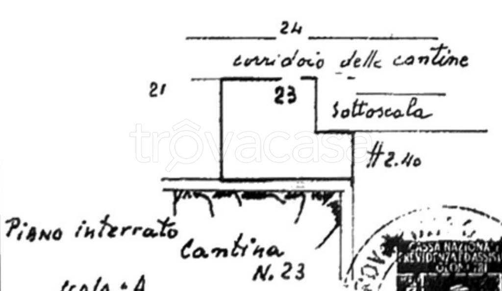 immagine annuncio 11 di 12
