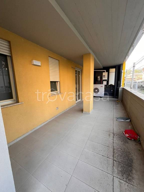 immagine annuncio 3 di 8