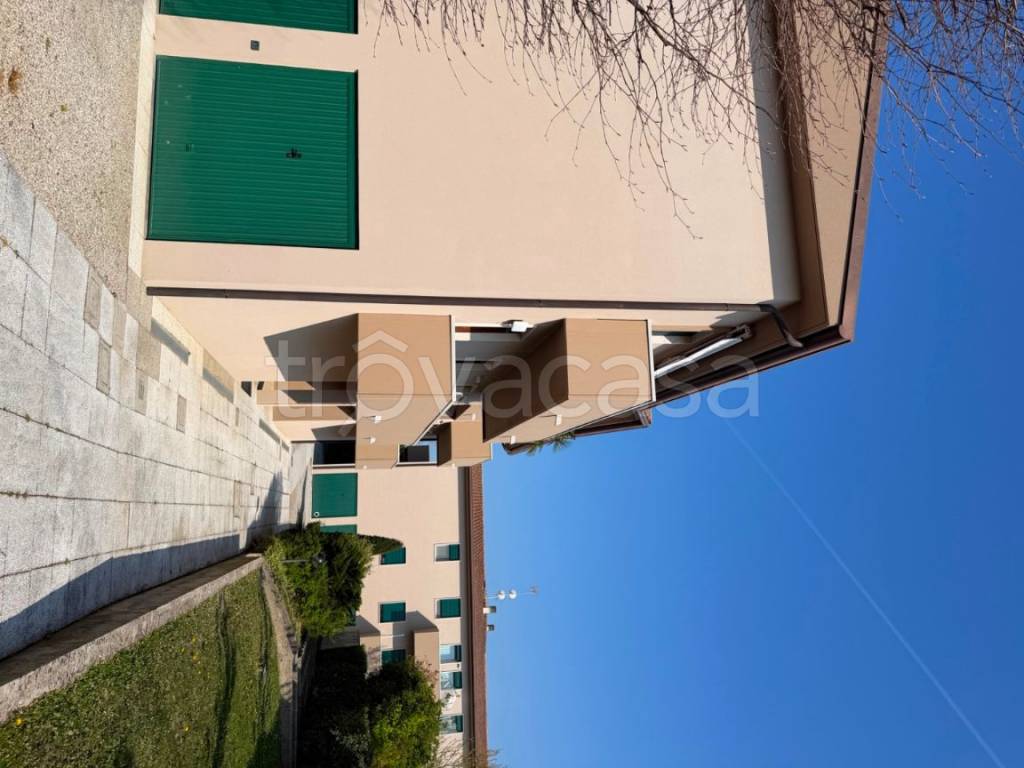 immagine annuncio 1 di 14