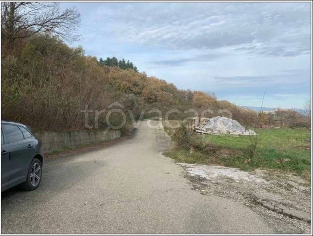 immagine annuncio 4 di 13