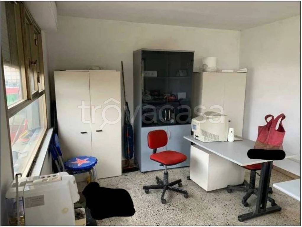 immagine annuncio 11 di 13