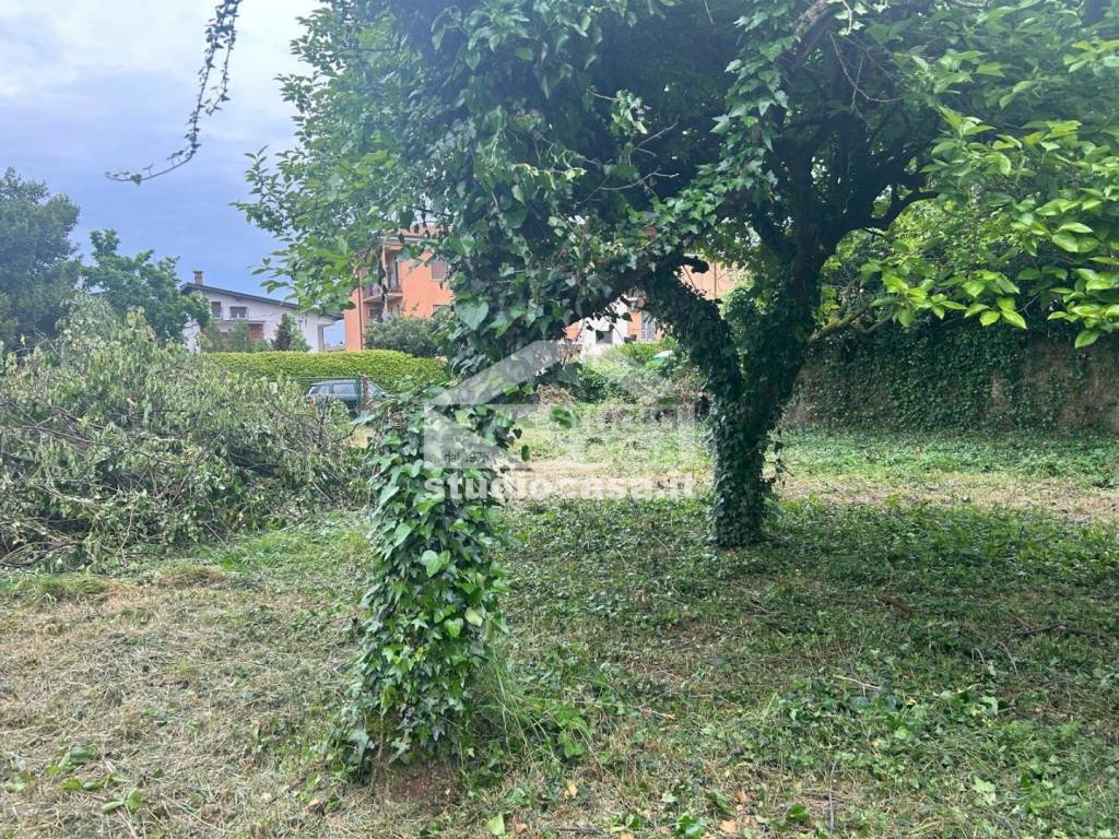 immagine annuncio 3 di 7