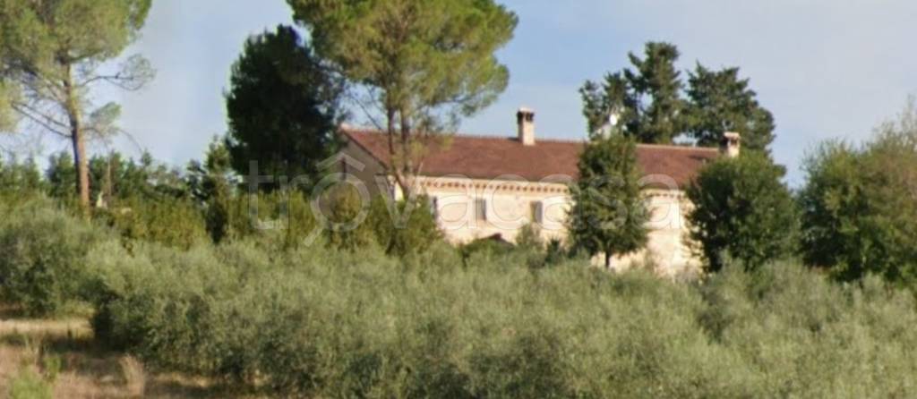 immagine annuncio 7 di 14