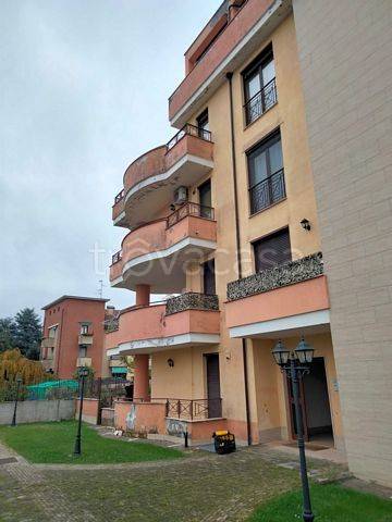 immagine annuncio 9 di 13