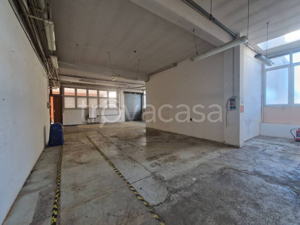 immagine annuncio 8 di 14
