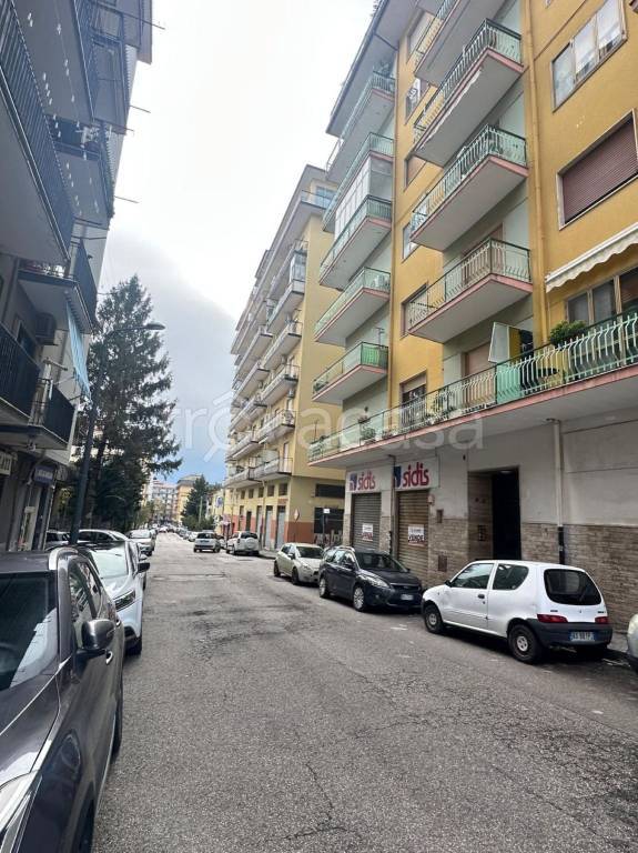 immagine annuncio 2 di 3