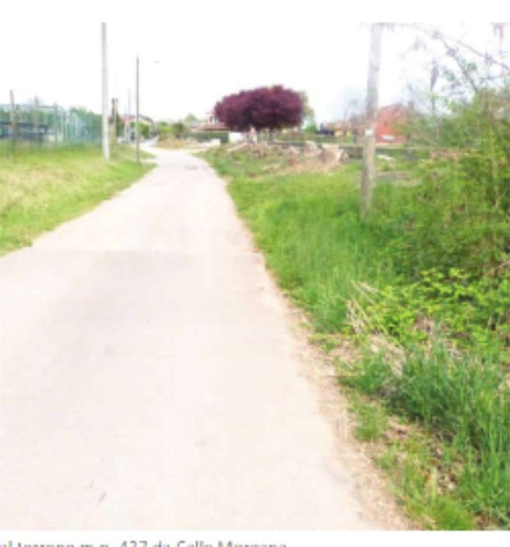 immagine annuncio 8 di 11