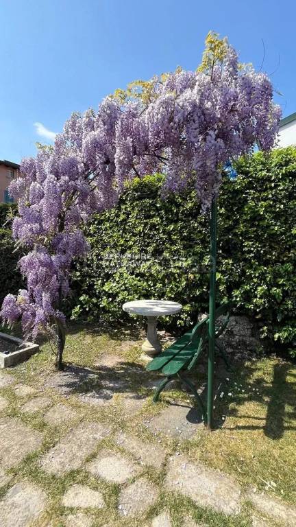 immagine annuncio 1 di 12