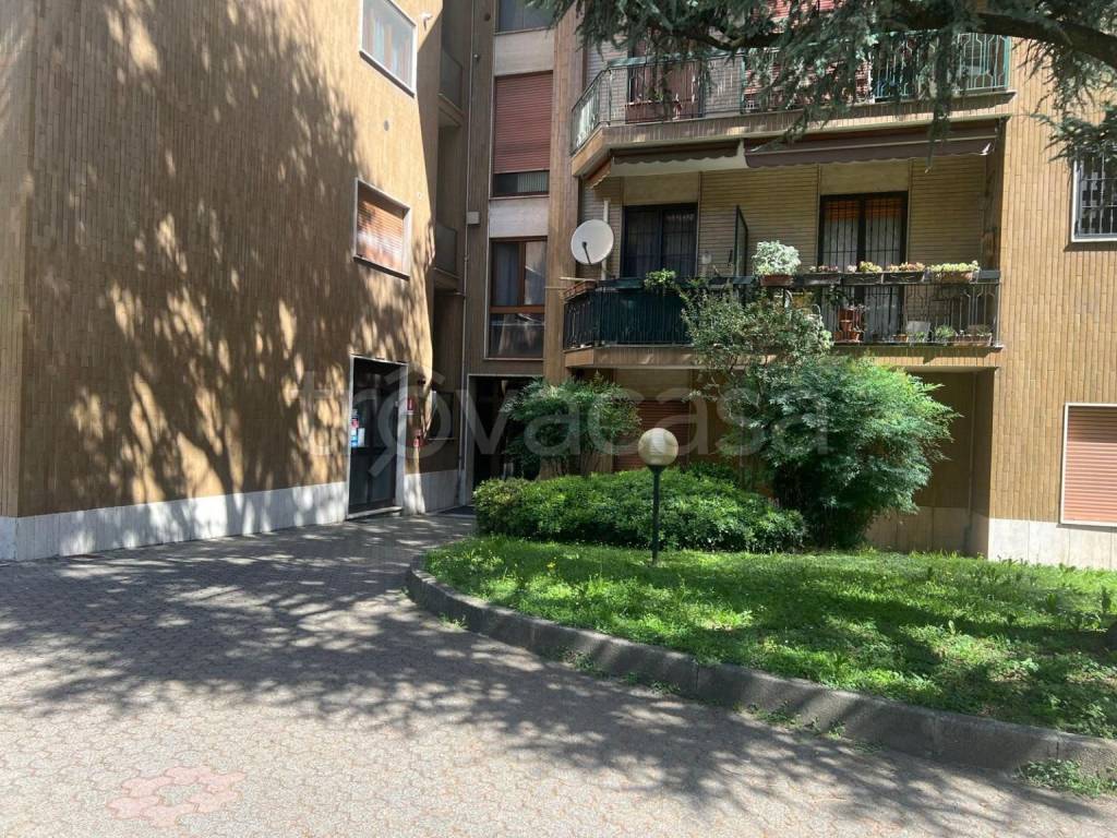 immagine annuncio 3 di 14