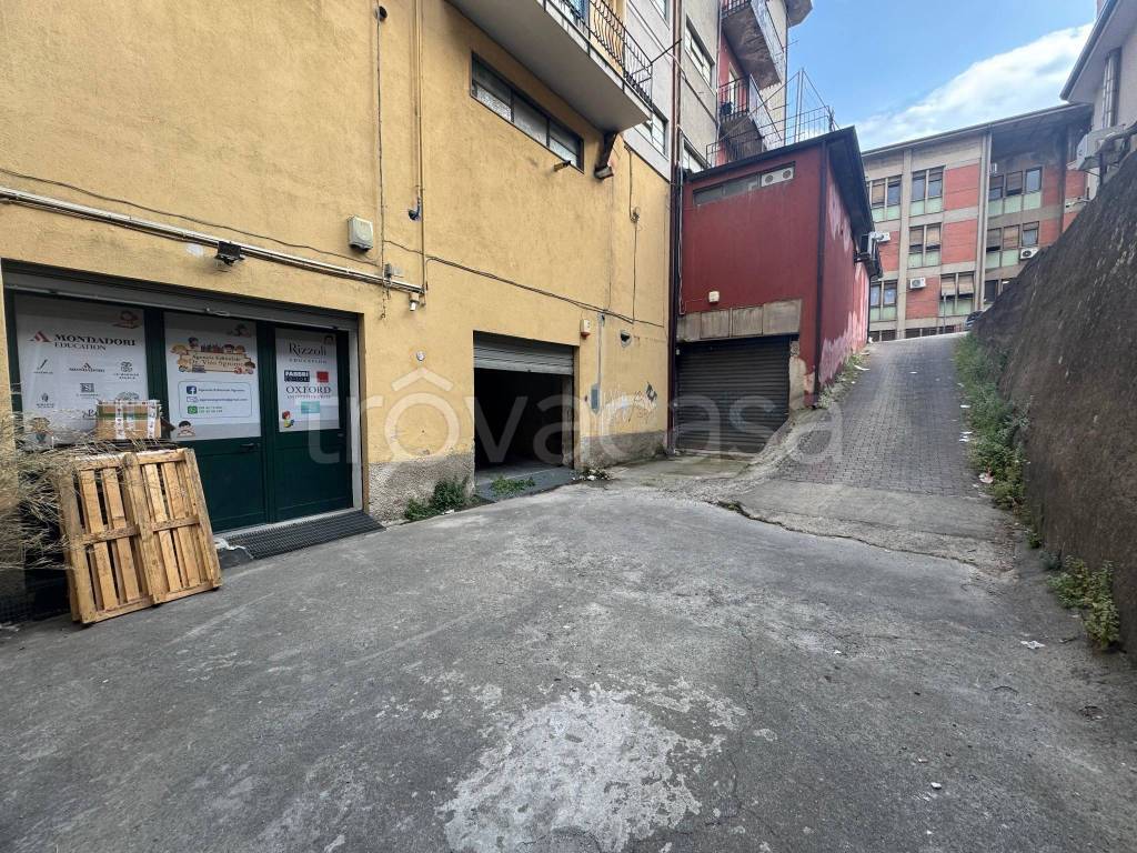 immagine annuncio 2 di 6