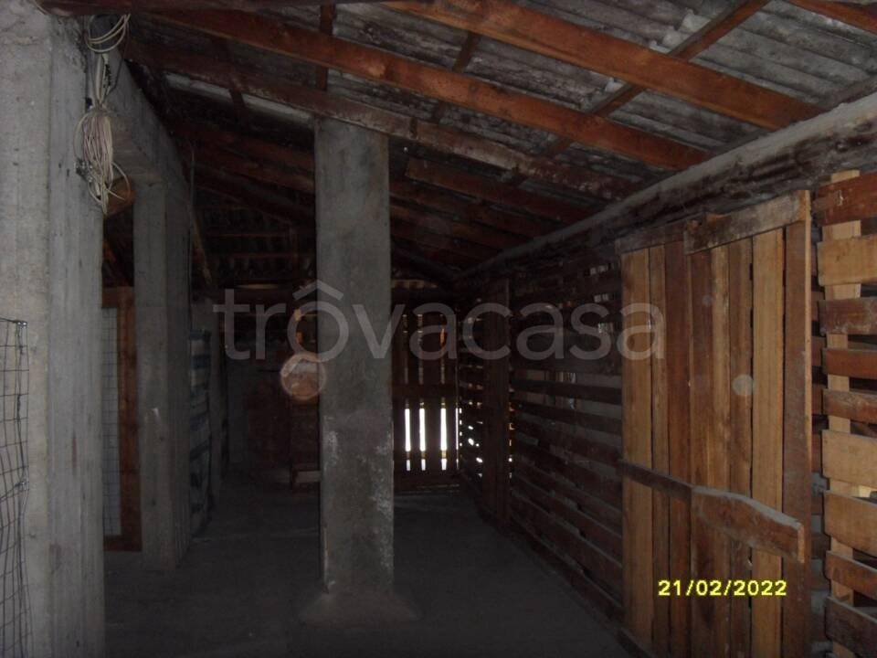 immagine annuncio 7 di 12