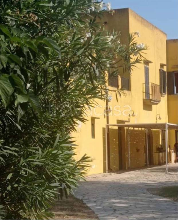immagine annuncio 7 di 11