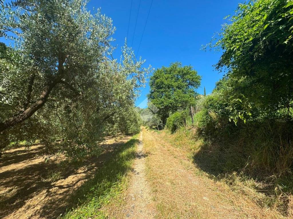immagine annuncio 5 di 6