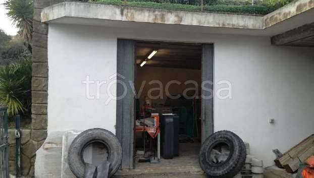 immagine annuncio 5 di 14