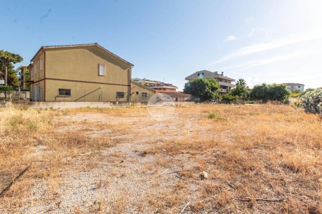 immagine annuncio 5 di 13