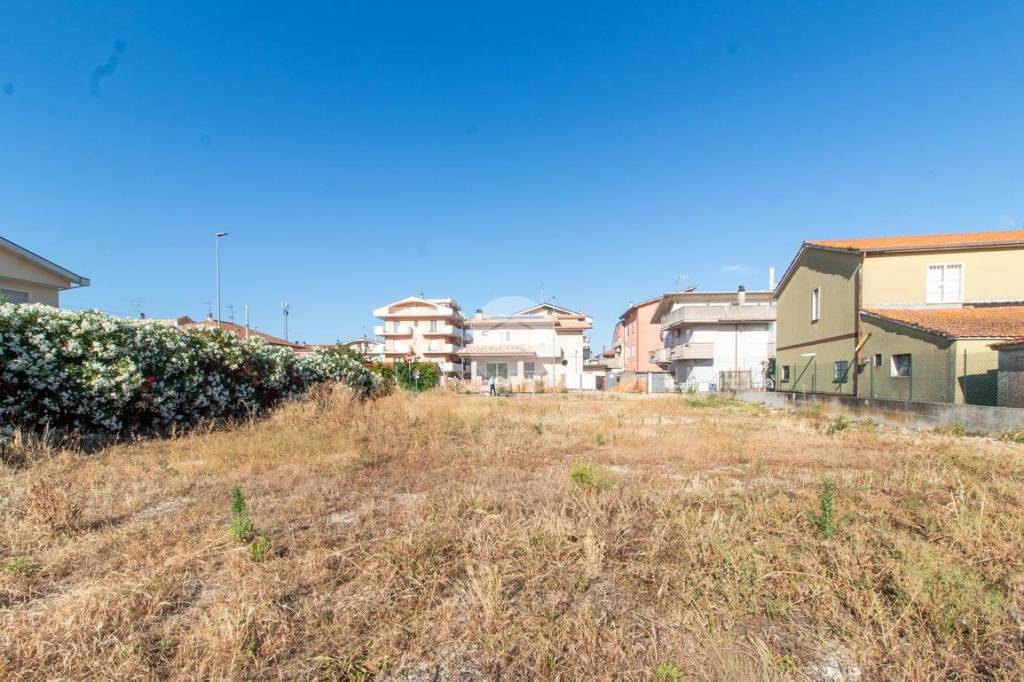 immagine annuncio 9 di 13