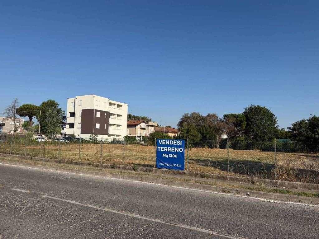 immagine annuncio 3 di 14