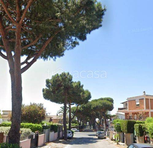 immagine annuncio 4 di 6