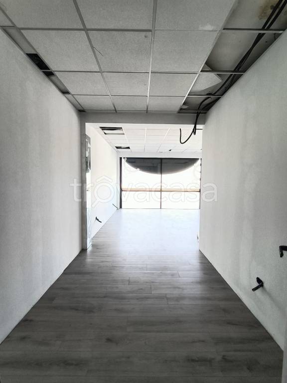 immagine annuncio 3 di 6