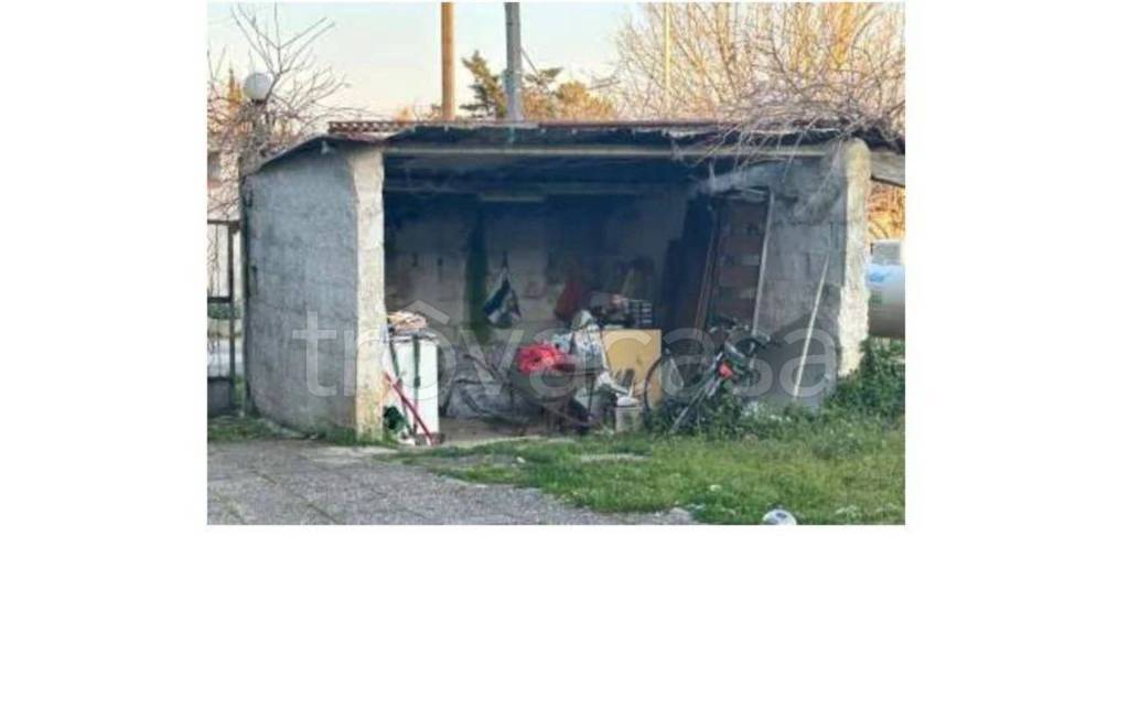 immagine annuncio 5 di 11