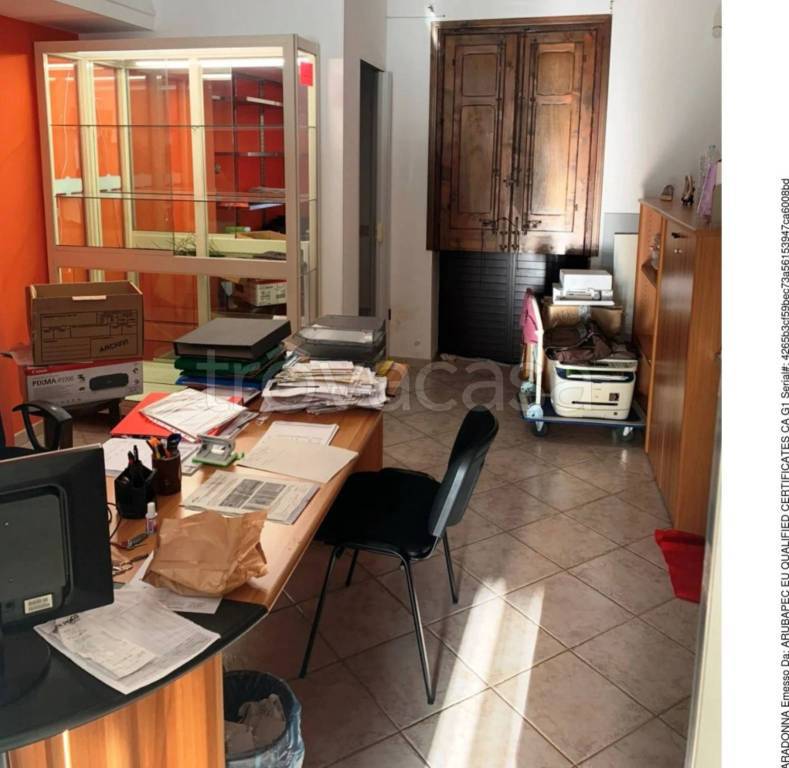 immagine annuncio 4 di 15